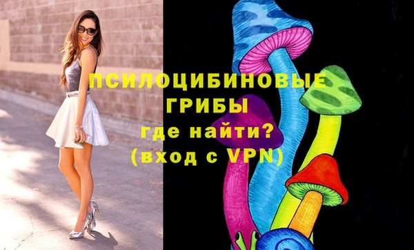 соль курить ск Арсеньев