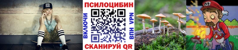 магазин продажи наркотиков Снежинск Галлюциногенные грибы Cubensis